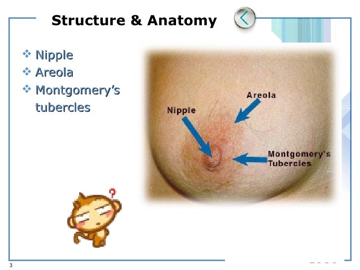 breast mass excision Breast mass excision